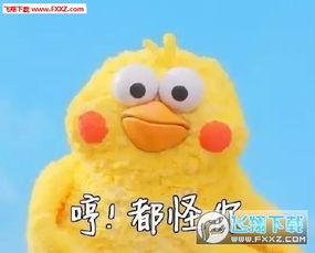  鹦鹉兄弟版捶你胸口表情包无水印版下载捶你胸口表情包鹦鹉兄弟版下载飞翔下载