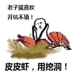  皮皮虾我们走到底啥意思