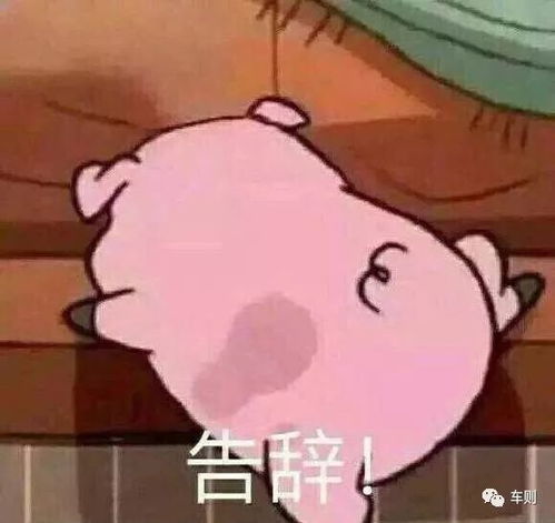 黑表情包图片大全搞笑爱丁堡国际艺术节