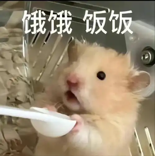  吃饭坐小孩那桌表情包