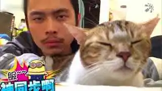  全部视频库