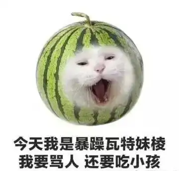  如何惹怒一个正在考研的人
