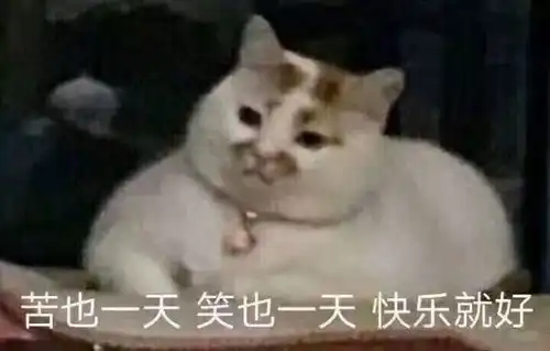 碾死我表情包林俊杰