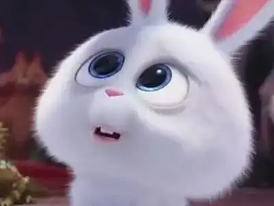 兔子吞脑袋表情包一套军