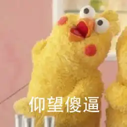 过了表情包鹦鹉兄弟