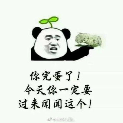  学校为什么要种石楠花啊啊啊啊啊
