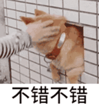  五一小长假,堵在路上,还是宅在家里其实有第三种选择