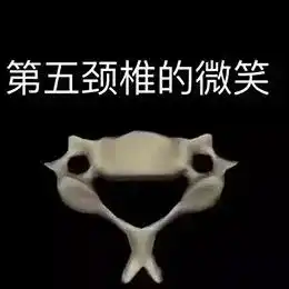 兔子吞脑袋表情包一套颈
