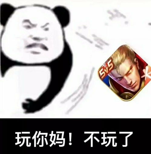  聊天必备表情包63期