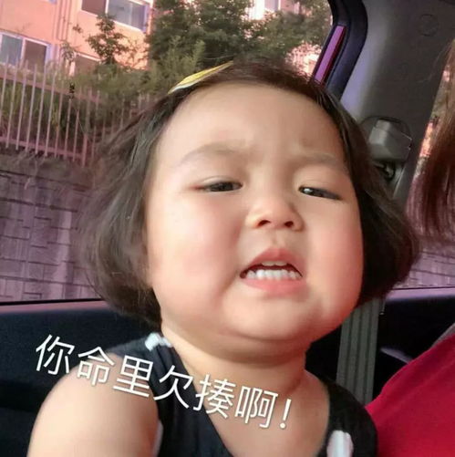 怼人可爱表情包欠揍