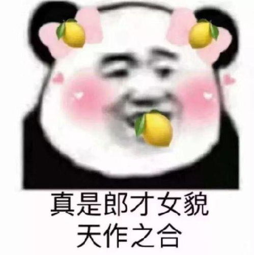 柠檬眼熊猫表情包