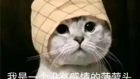 卡式敢达说那个不可能男人回来了买闪电背包送完美强袭啦 卡式敢达说那个不可能男人回来了买闪电背包送完美强袭啦