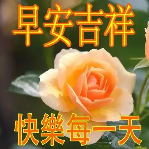 祝福大家早上好表情
