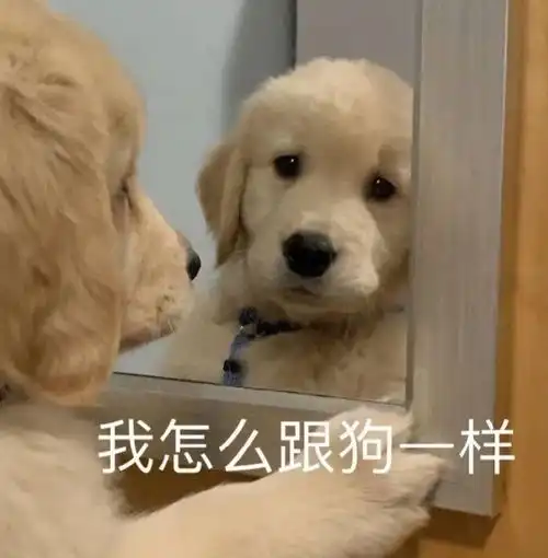 斗图精选表情包在吗出来挨打