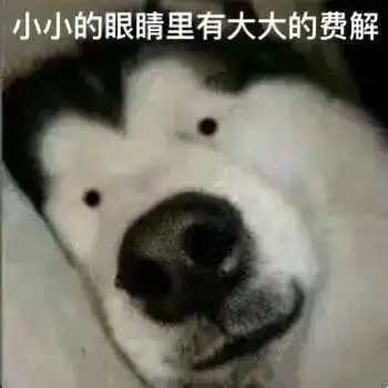 在线表情包沙雕波兰