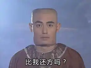  还珠格格好方表情包,看完我整个人都方了