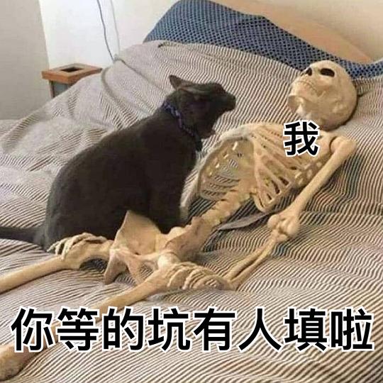  黑猫十一的相册我用别人家主子作过的表情包