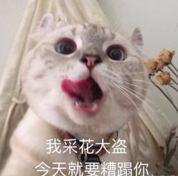  吃土系年轻人环游世界指南