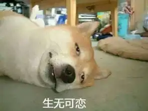  柴犬表情包你再捏我脸我和你急