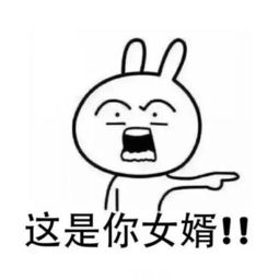  微信恶搞兔子带字表情包嫁娶版