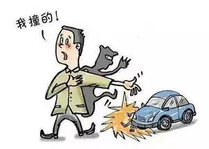 肇事逃逸发现天网又返回找人顶包民警识破 肇事逃逸发现天网又返回找人顶包民警识破