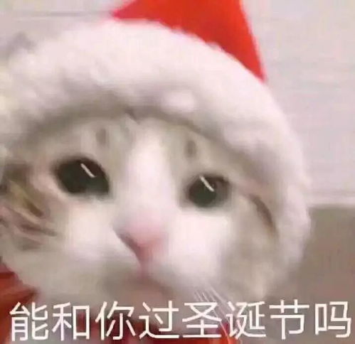 金长官表情包圣诞帽