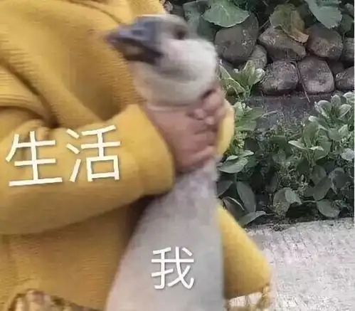  当个成年人太惨了,谁的生活不是一场炼狱