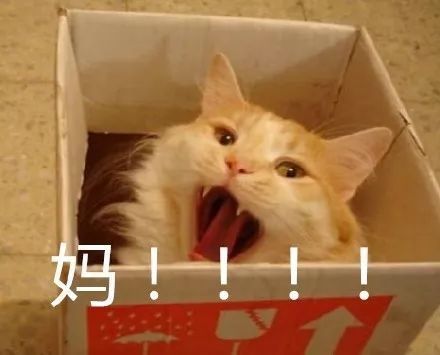  我的大学生早衰日记