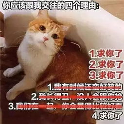  如何让女生期待跟你交往不心累内心默念这3条,错不了