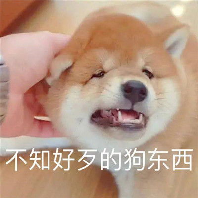 搞笑表情大全爆笑聊天表