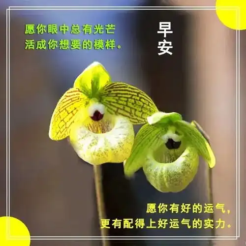 初冬清晨很漂亮的早上好动画表情图片带字,美美的早上好短信问候祝福语  初冬清晨很漂亮的早上好动画表情图片带字,美美的早上好短信问候祝福语