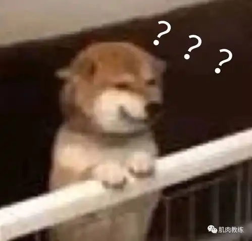 妹子去健身房训练反被警告穿好衣服再来网友看完直接迷惑了......