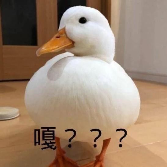  可爱表情包拿图片洞悉一切的迷之笑容