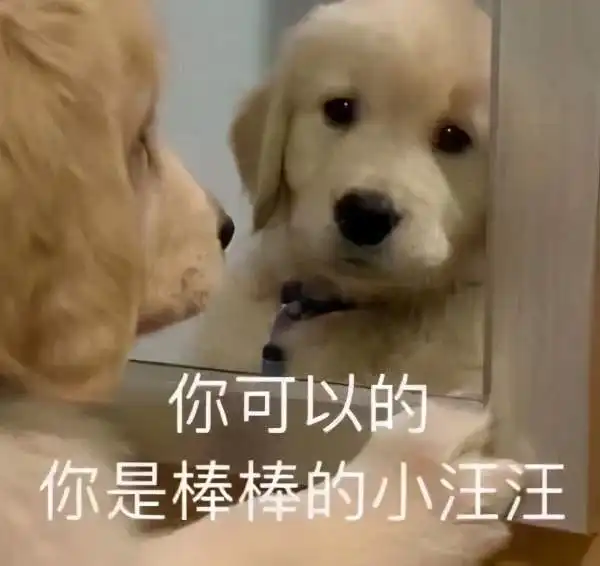  进了香港九大投行的北大学姐曾经,我融入不了金融圈