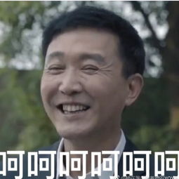  人民的名义版表情包,快收藏