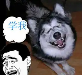  哈士奇说,在这个星球上,就没有比我们更二的狗了