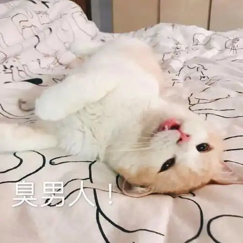 憨憨表情包图片落泪