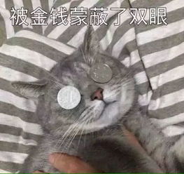  小贱日报狠心男友为报复前女友,驾车载其..t355757的主页