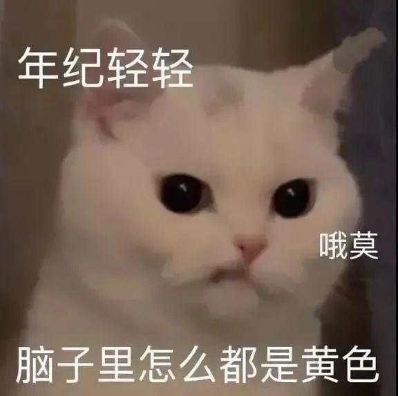  老色批必备表情包合集