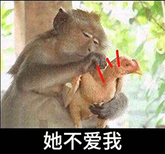  他爱我他不爱我熊猫头拔毛表情包