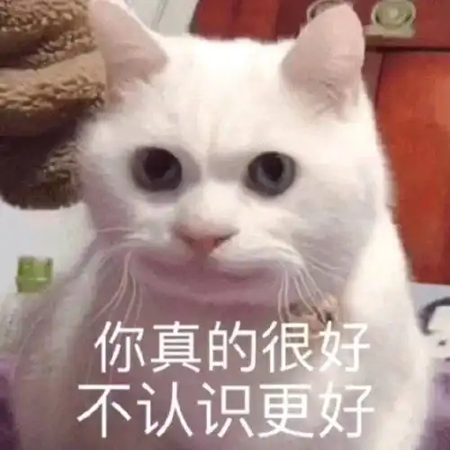  当我对着猫放了一个p...哈哈哈哈哈