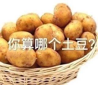  解气又可爱的怼人表情包