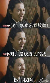  三生三世十里桃花搞笑图片