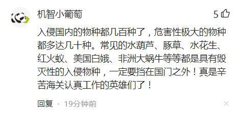  小心青岛海关截获美国的包裹,内有7000只非法入境的黑腹果蝇