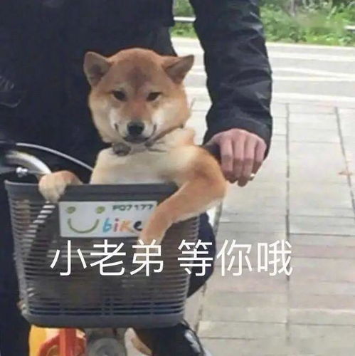  好消息太原人的靠谱兼职来了每天兼职5分钟,轻松赚足生活费