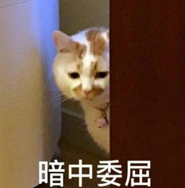  是我看错了刚才发第一个月工资