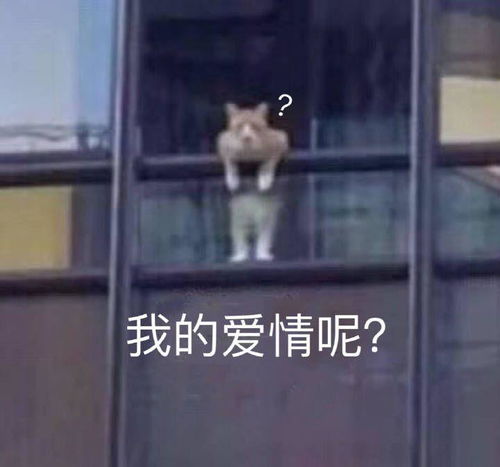  女朋友追星,我吃醋了,说了怕她生气,我该怎么跟她沟通