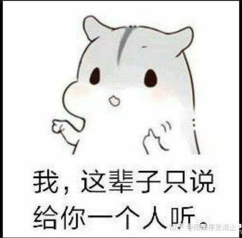  拼多多收藏店铺有什么好处,会不会增加权重的作用