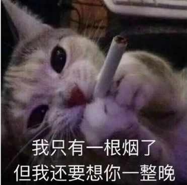  绝对收藏,专业的怼人表情包合集