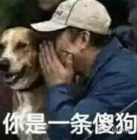  宋威龙有黑料吗